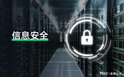 計算機信息系統(tǒng)安全專用產(chǎn)品銷售許可與技術服務中的檢測費用解析